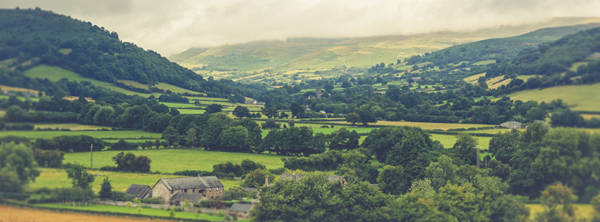 Rural landscape