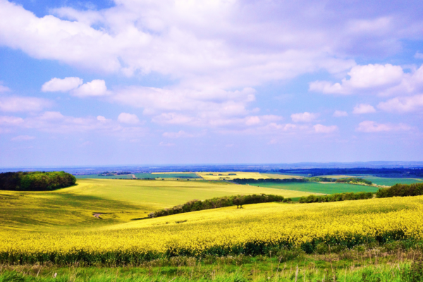 Landscape Oxfordshire