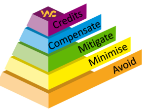 Mitigation Hierarchy 