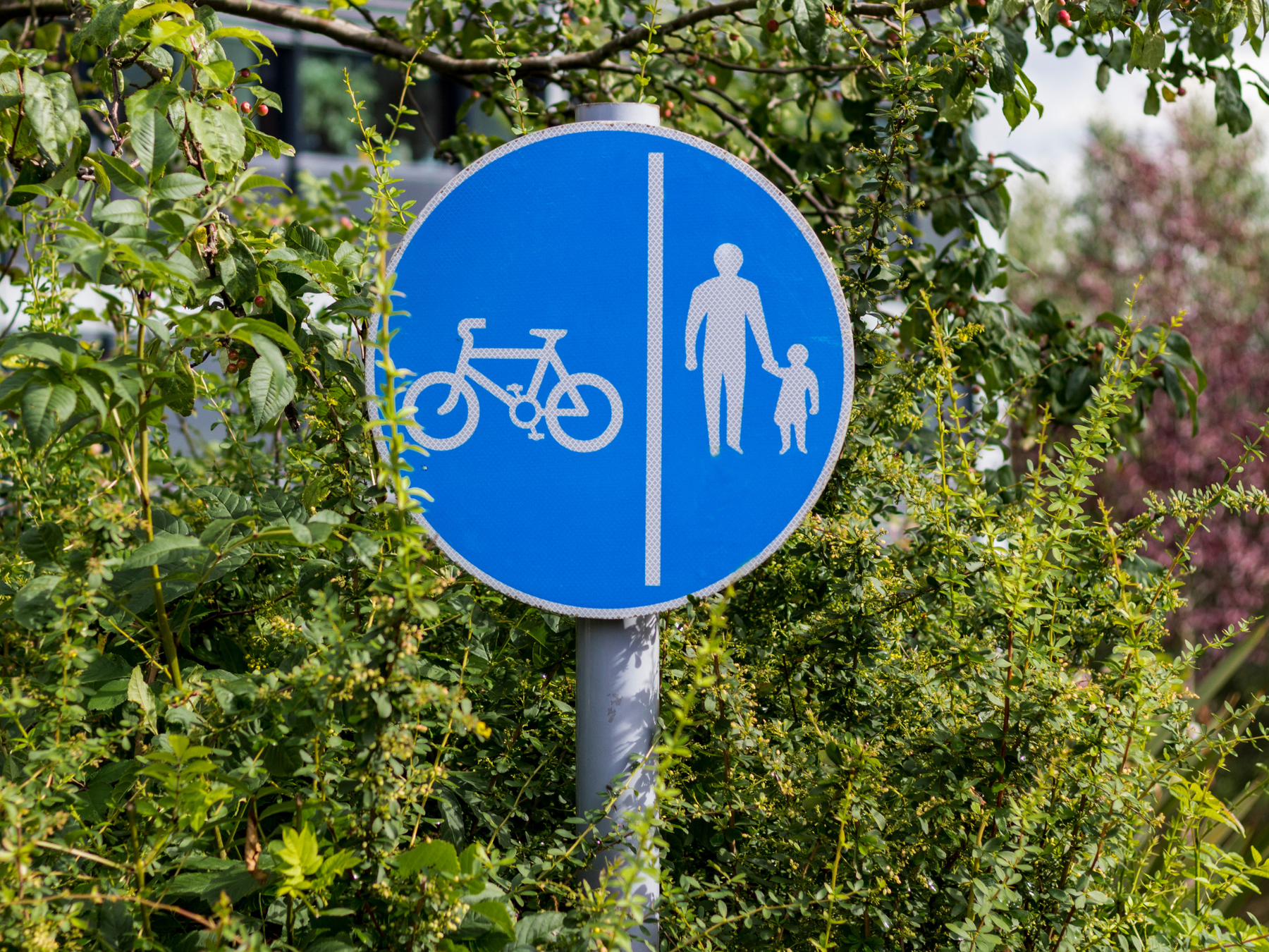 Cycle sign